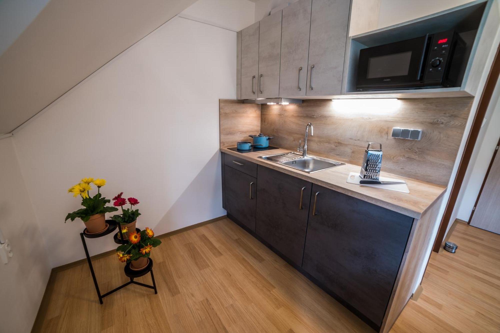 Apartmany Hasicarna Horní Vltavice Екстериор снимка